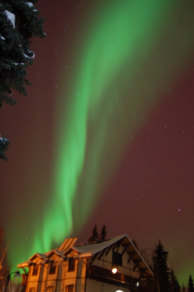 auroa sky overhead at FES